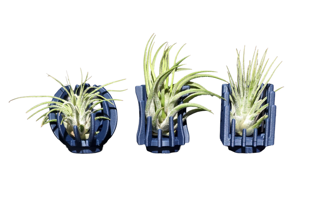 Support Magnétique Artisanal pour Plante Aérienne