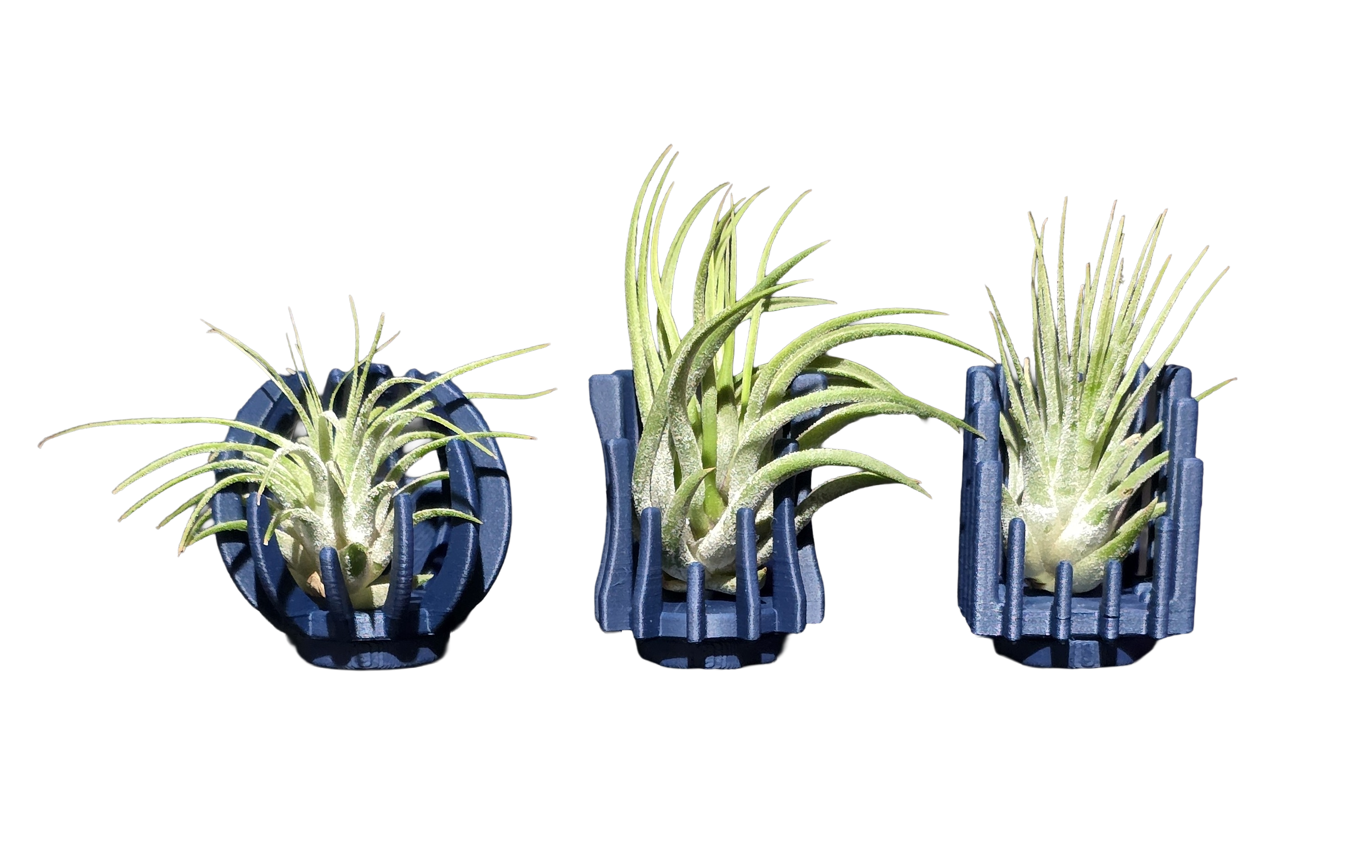 Support Magnétique Artisanal pour Plante Aérienne