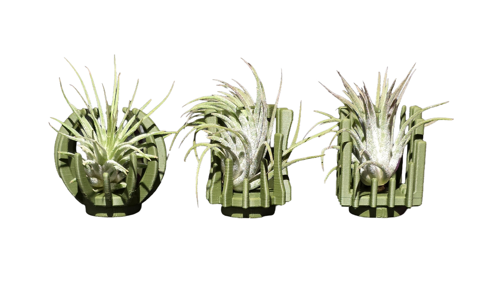 Support Magnétique Artisanal pour Plante Aérienne