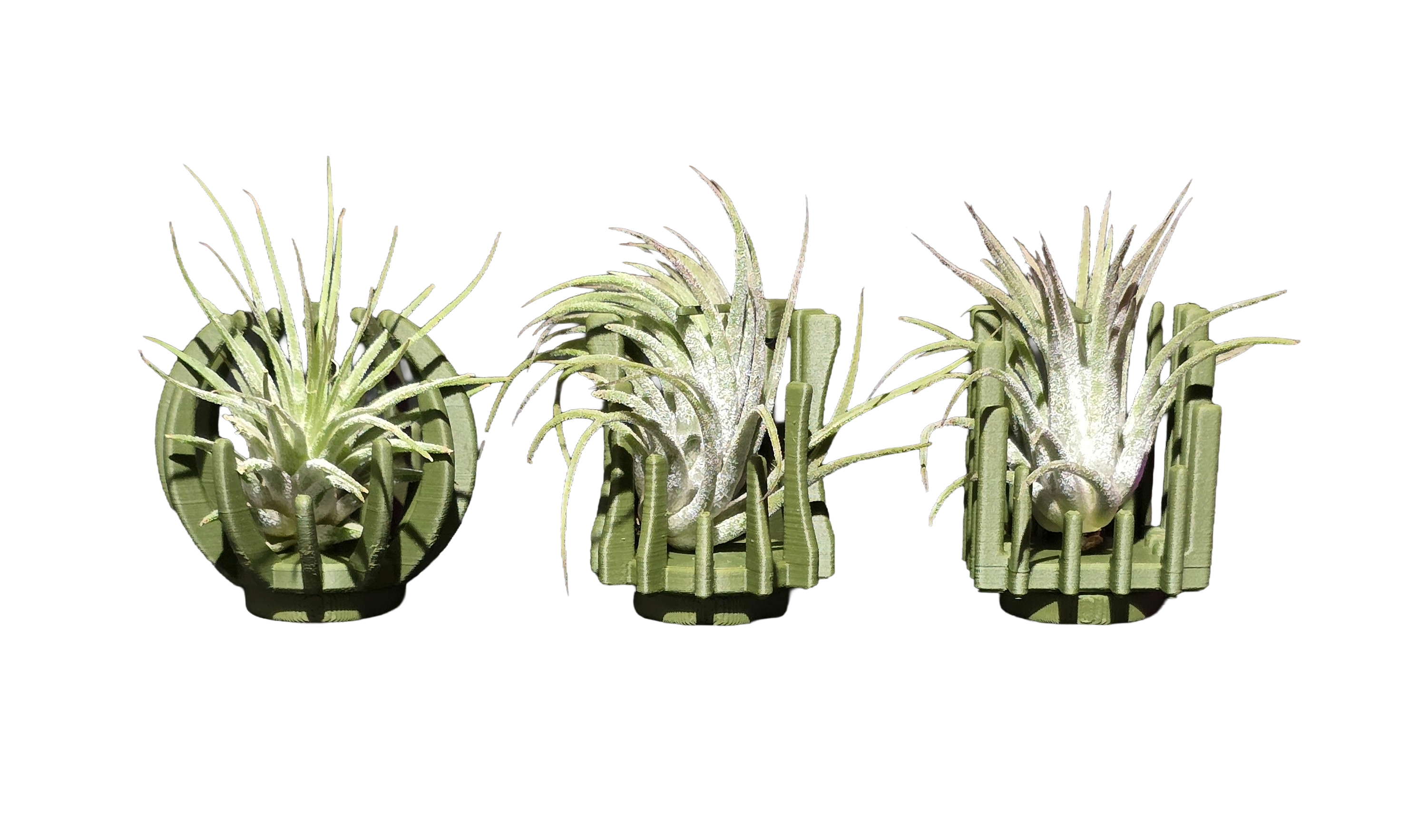 Support Magnétique Artisanal pour Plante Aérienne