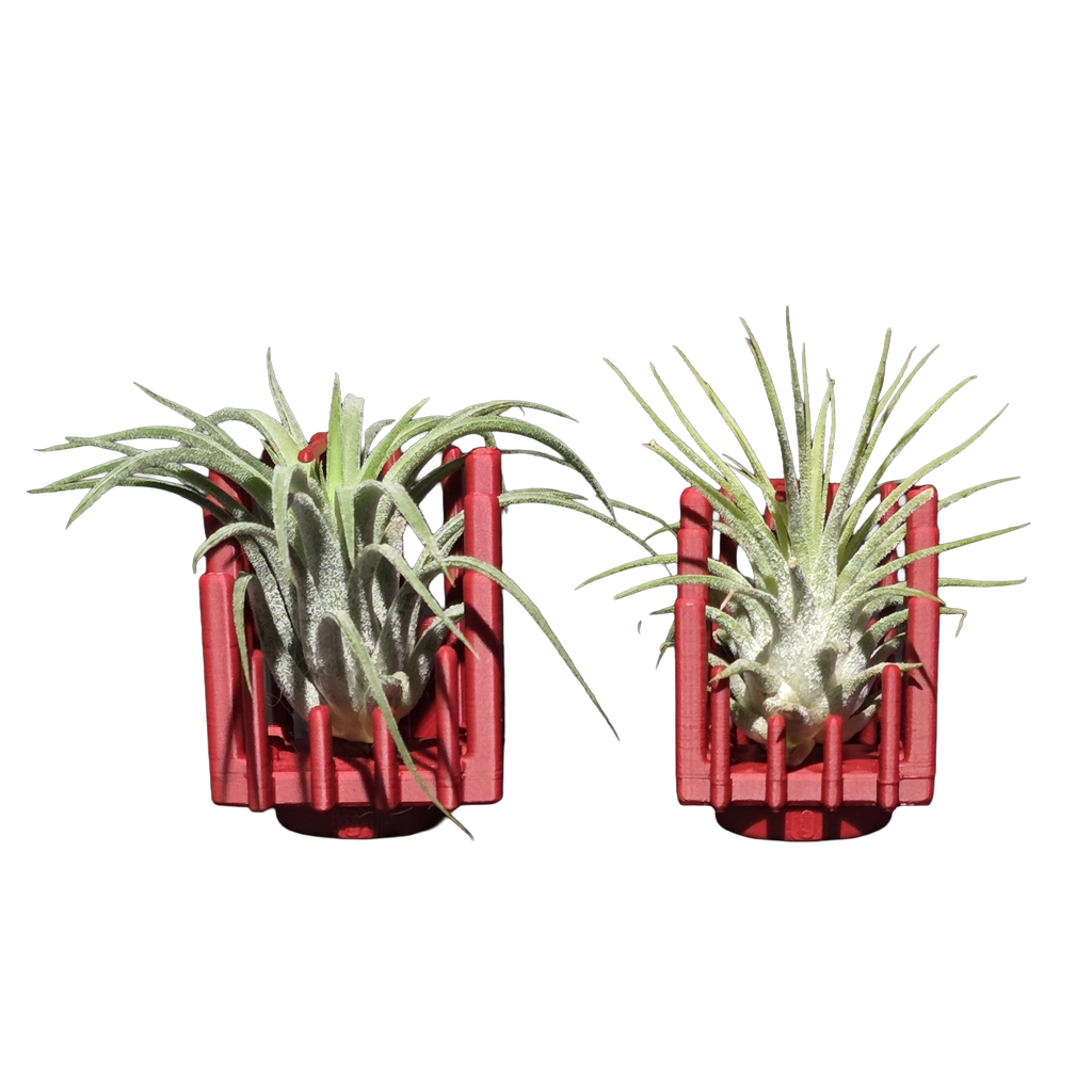 Support Magnétique Artisanal pour Plante Aérienne