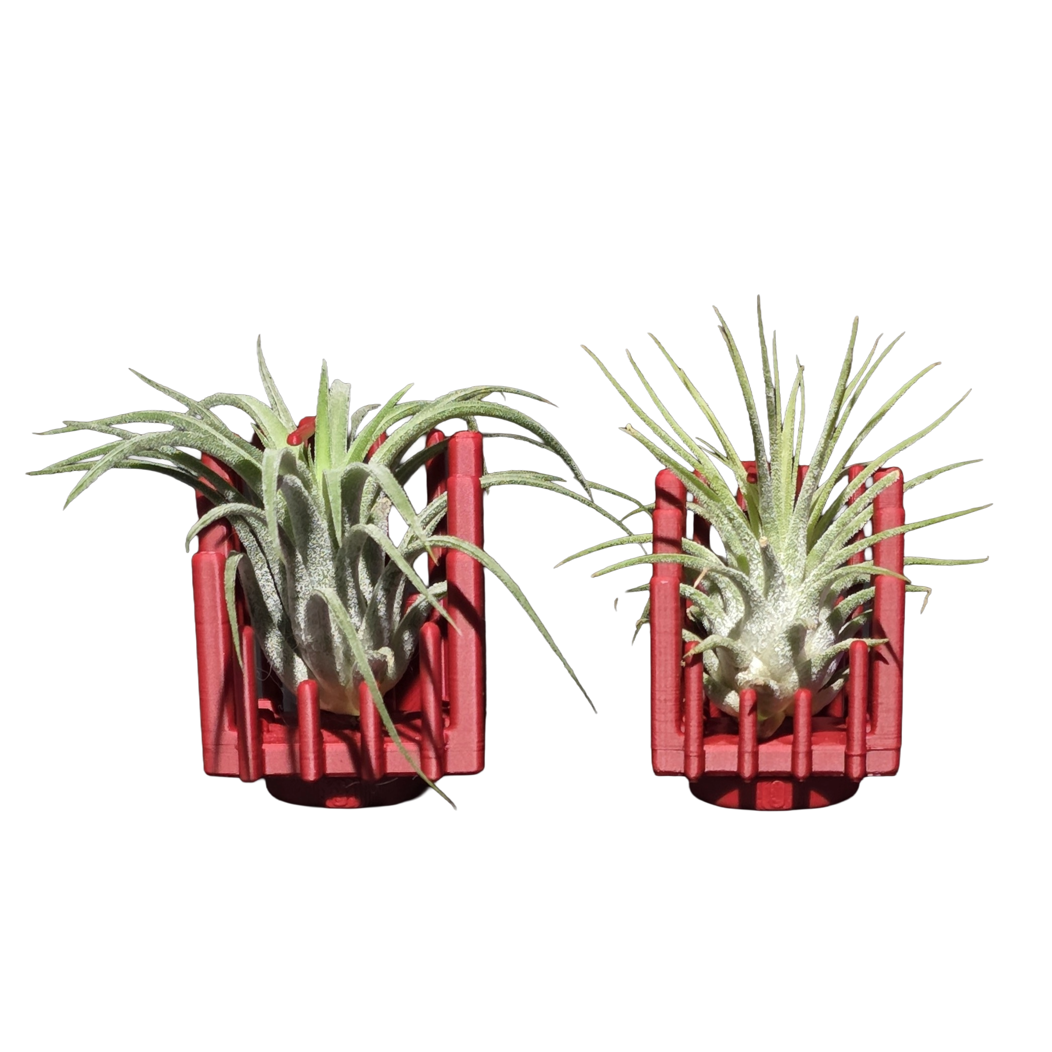 Support Magnétique Artisanal pour Plante Aérienne