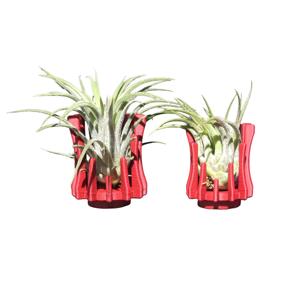 Support Magnétique Artisanal pour Plante Aérienne