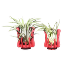 Support Magnétique Artisanal pour Plante Aérienne