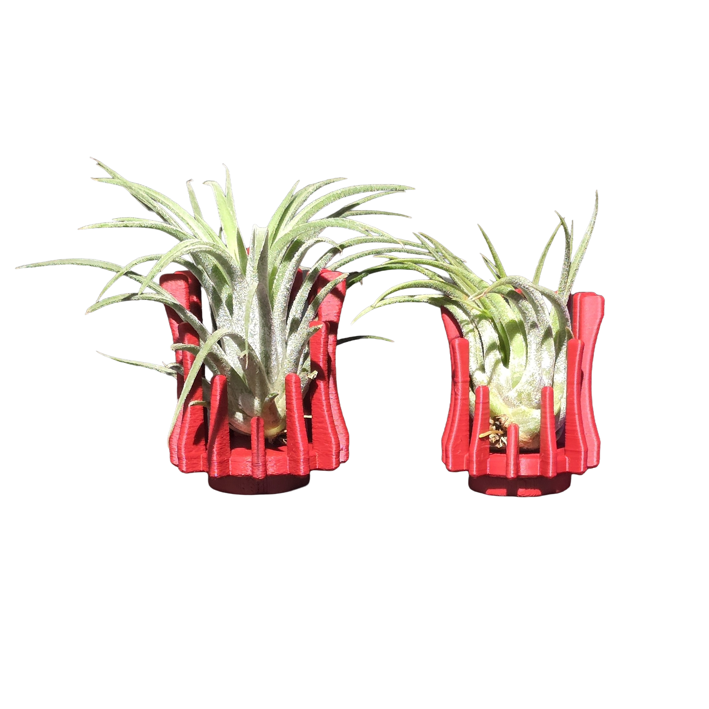 Support Magnétique Artisanal pour Plante Aérienne