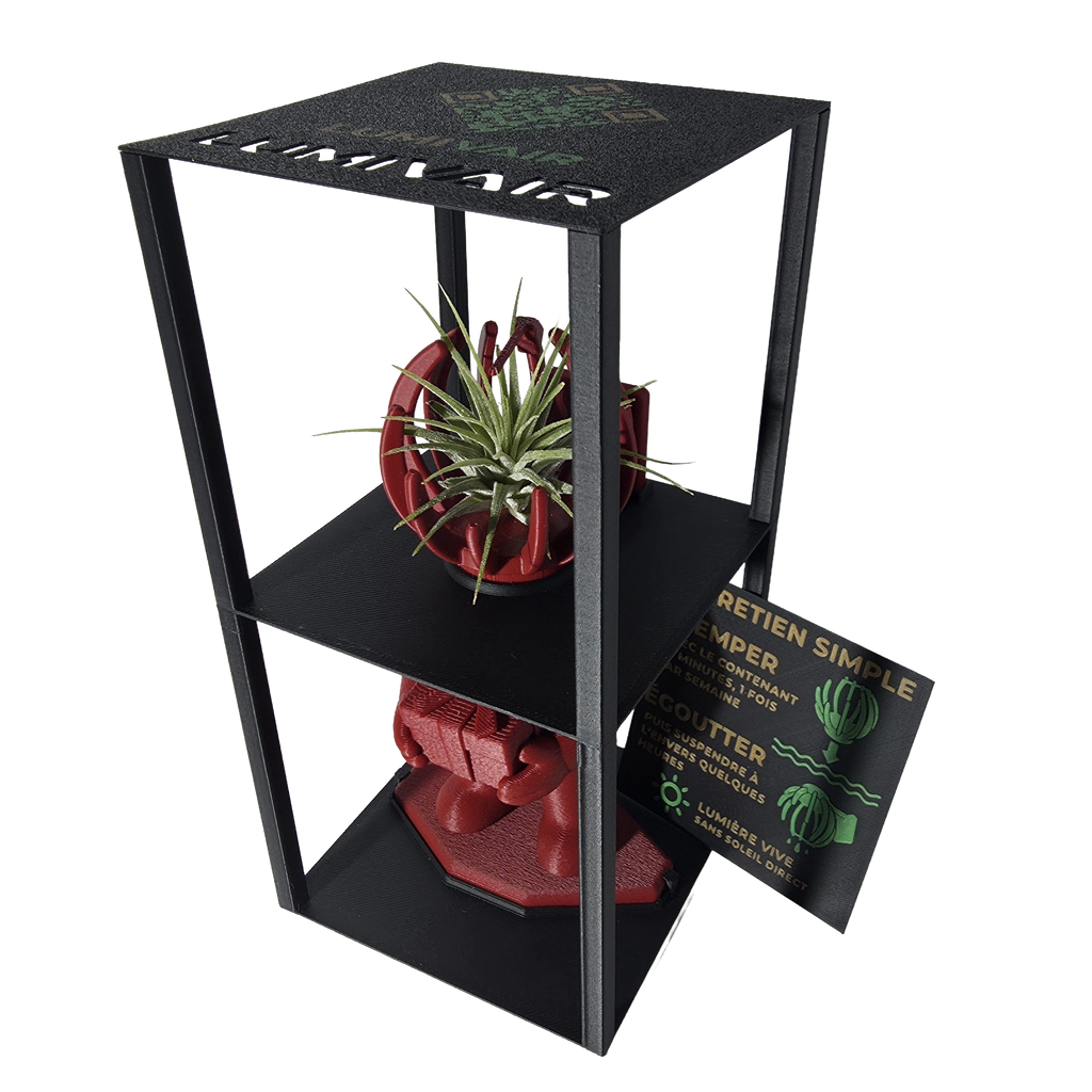 Figurine Lumivair et Support pour Plante Aérienne - Ensemble
