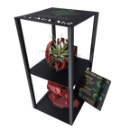 Figurine Lumivair et Support pour Plante Aérienne - Ensemble