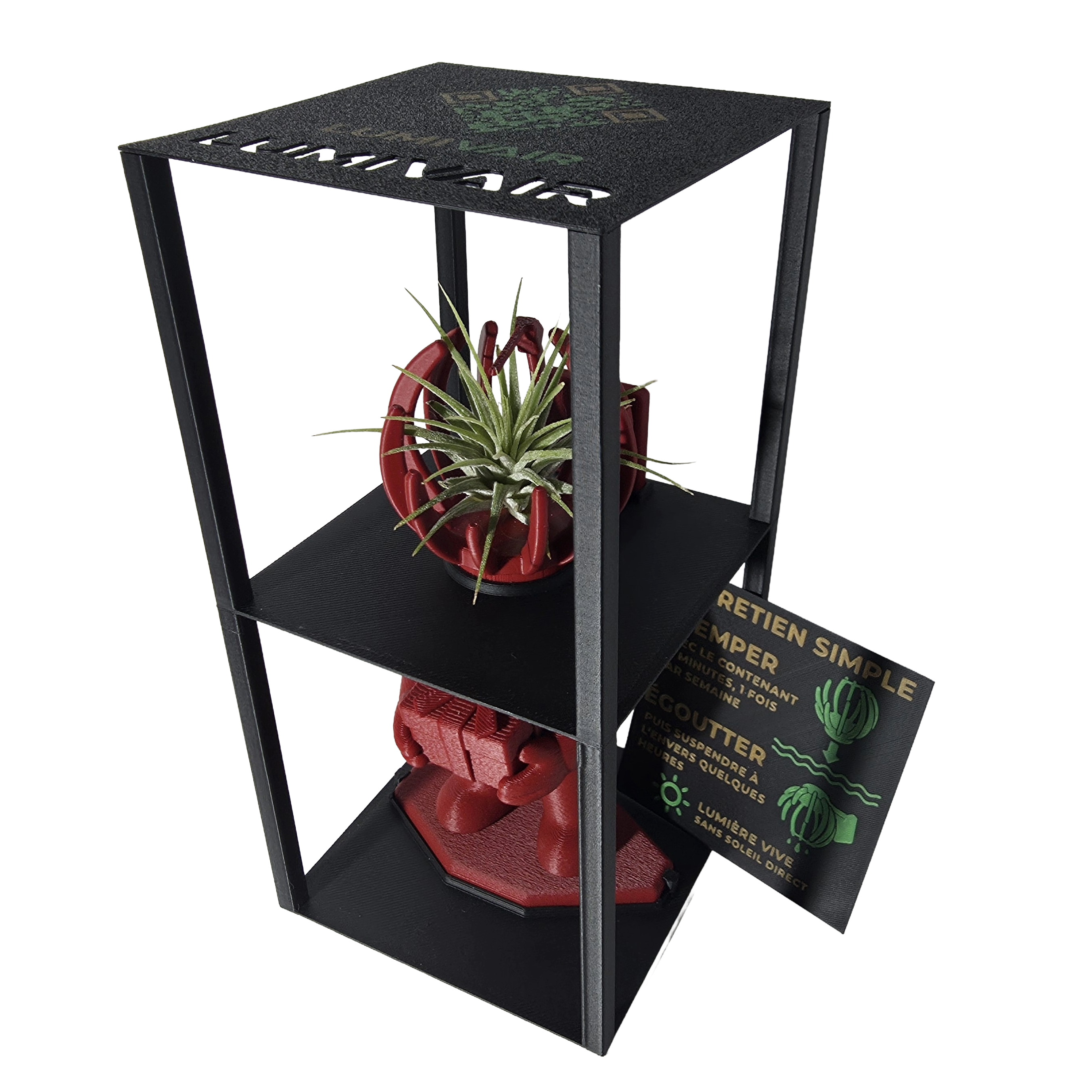 Figurine Lumivair et Support pour Plante Aérienne - Ensemble