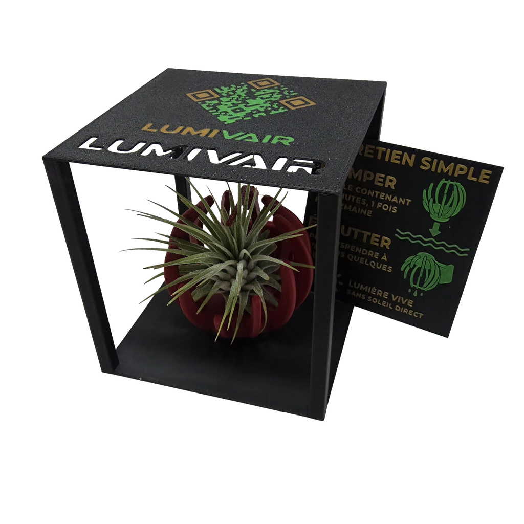 Support Magnétique Artisanal pour Plante Aérienne