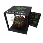 Support Magnétique Artisanal pour Plante Aérienne