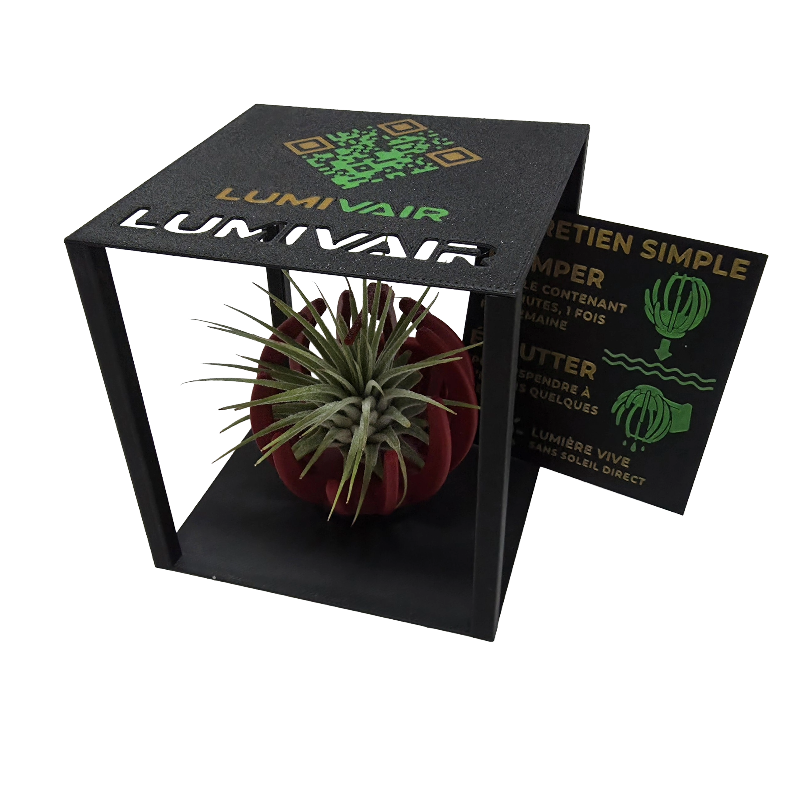 Support Magnétique Artisanal pour Plante Aérienne