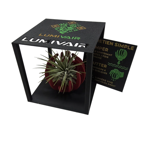Support Magnétique Artisanal pour Plante Aérienne