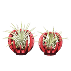 Support Magnétique Artisanal pour Plante Aérienne
