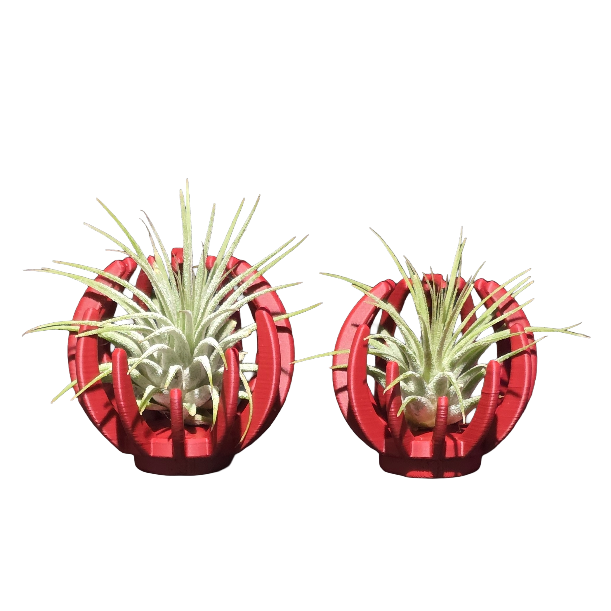 Support Magnétique Artisanal pour Plante Aérienne